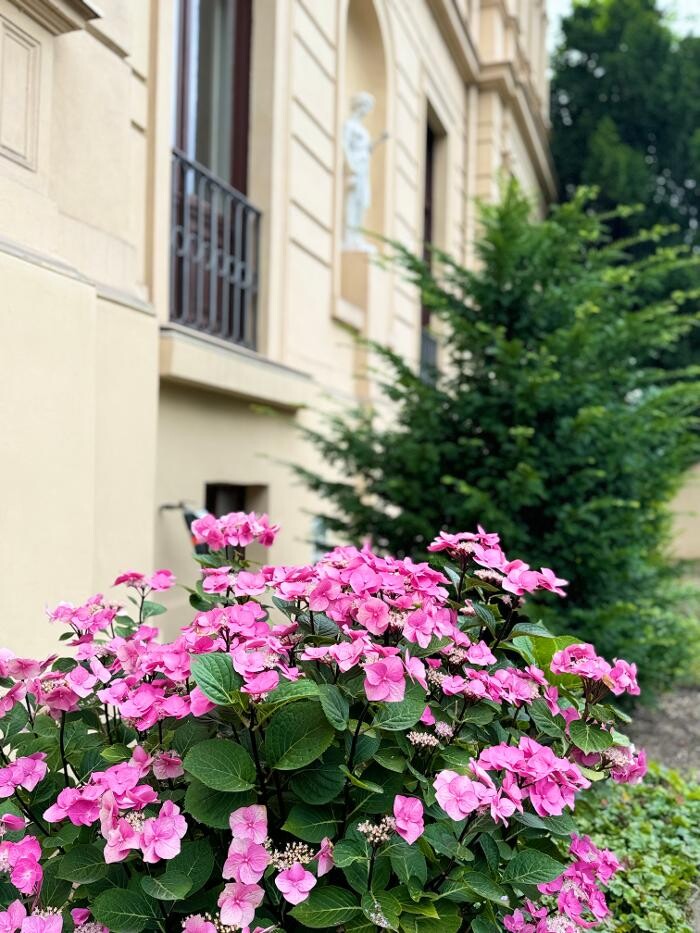 Bilder EWIG UNS Brautmoden