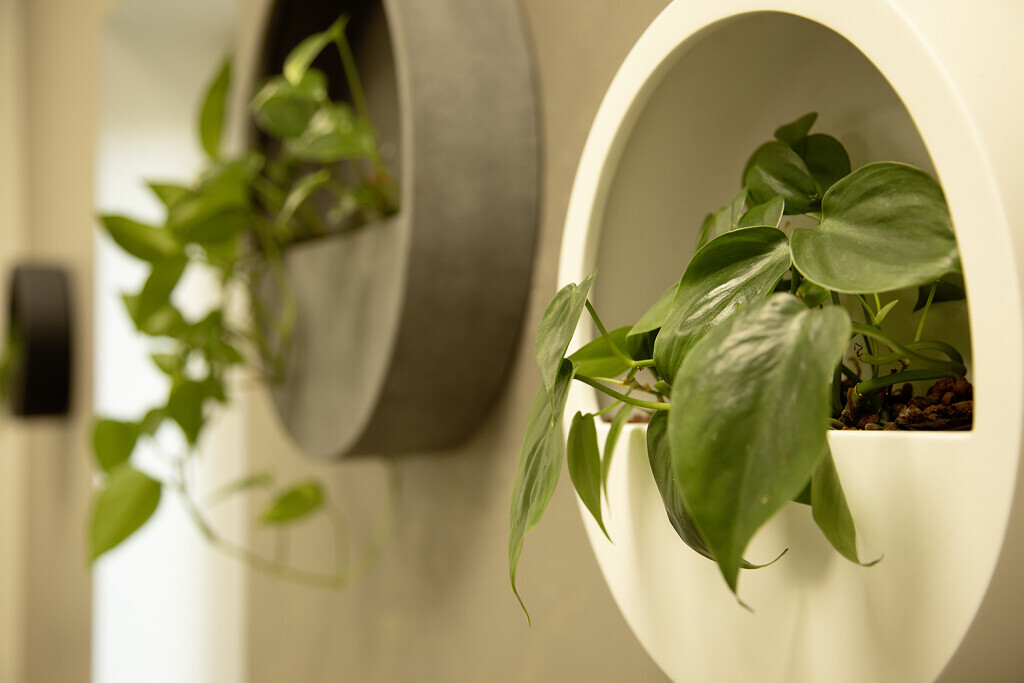 Bilder sport-praxis Faulstich