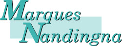 Hausmeisterdienste Inh. Nandingna Marques Logo