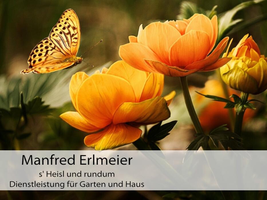 Bilder Erlmeier Manfred, s Heisl und rundum Dienstleistung für Garten und Haus