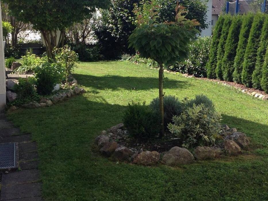 Bilder Tan Reinigungsdiensleistungen