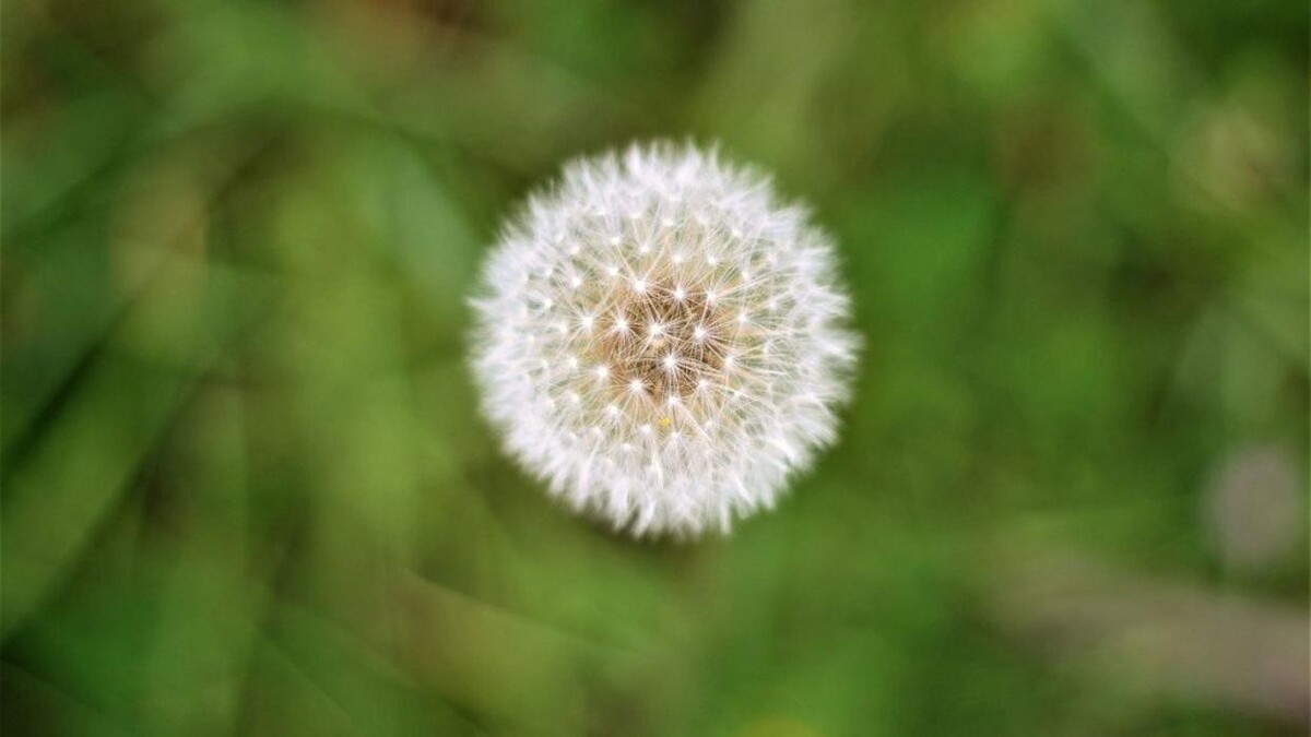 Bilder Naturheilpraxis Zahor