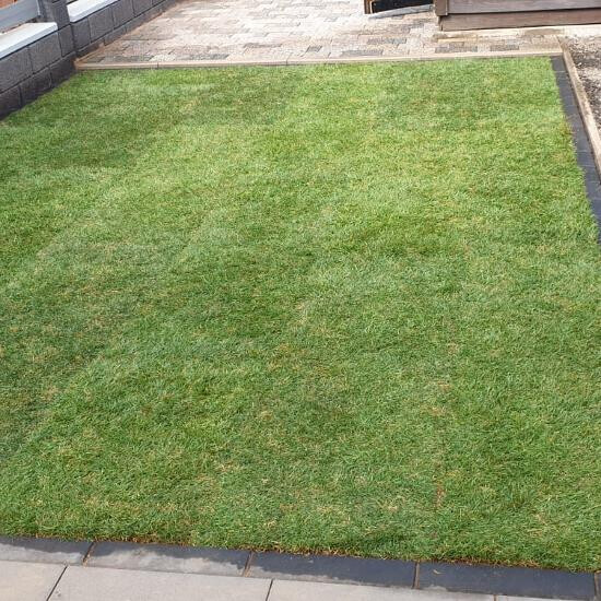 Bilder SJ-Vermittlungsservice