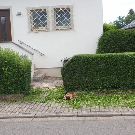 Bilder SJ-Vermittlungsservice