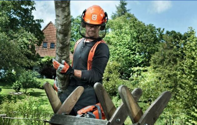 Bilder Tenberg Gartentechnik GmbH & Co. KG