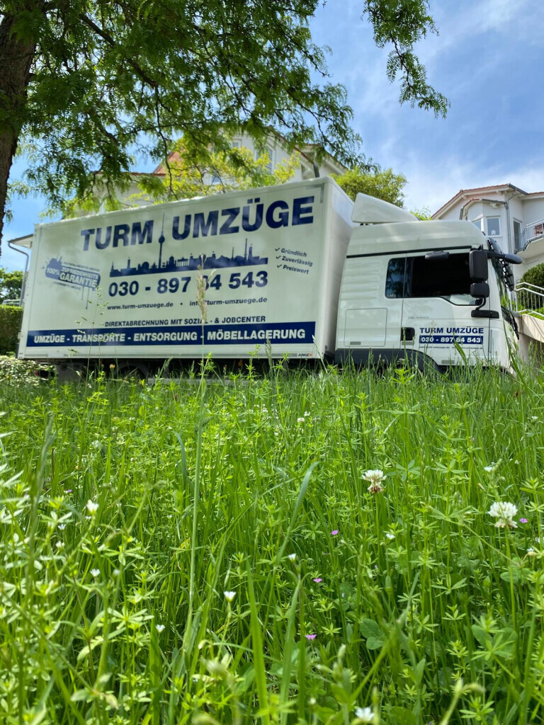 Bilder Turm Umzüge