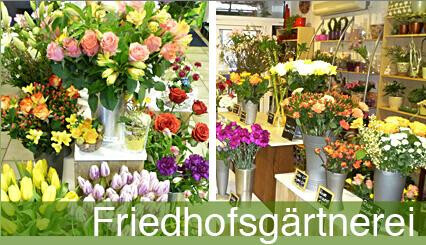 Bilder Hannes Schulz Blumen, Friedhofsgärtnerei