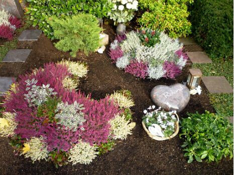 Bilder Hannes Schulz Blumen, Friedhofsgärtnerei