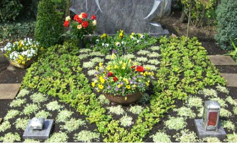 Bilder Hannes Schulz Blumen, Friedhofsgärtnerei