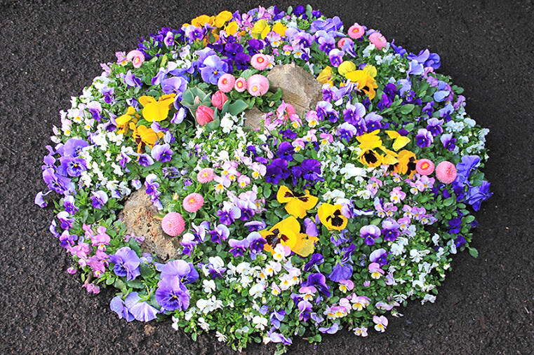 Bilder Hannes Schulz Blumen, Friedhofsgärtnerei