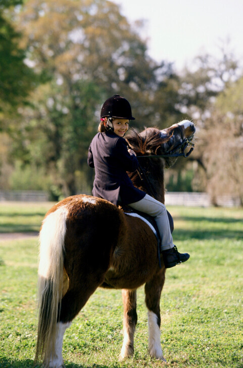 Bilder Private Zimmervermietung und Bistro - Jennifer Herzlieb