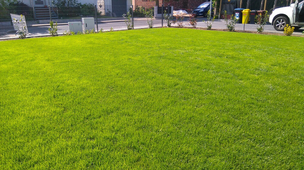 Bilder GreenFairway e.K.