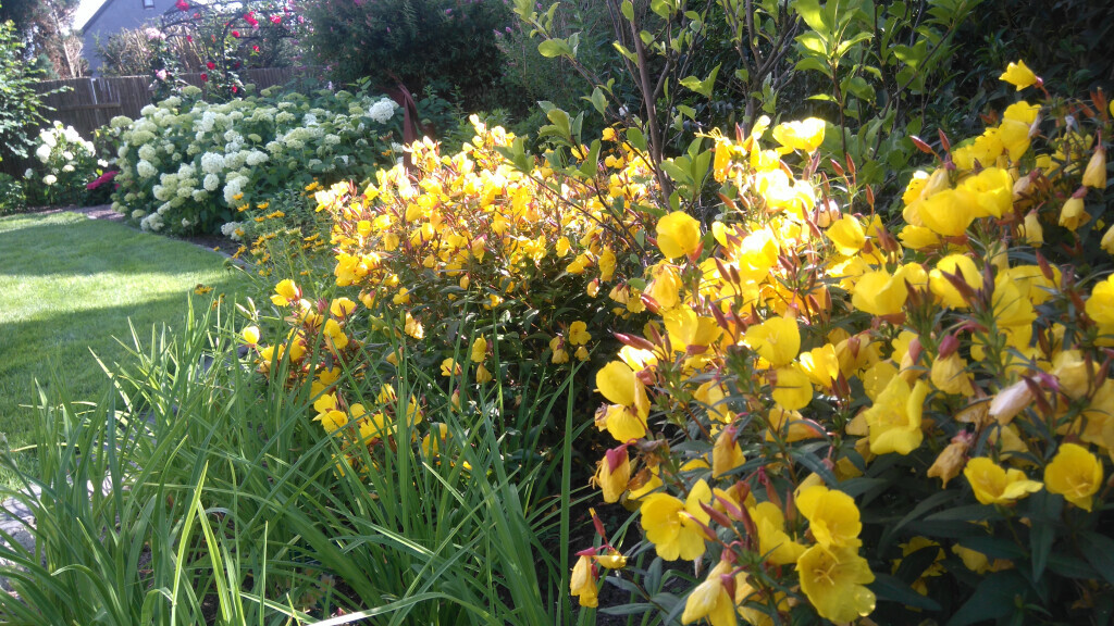 Bilder GreenFairway e.K.