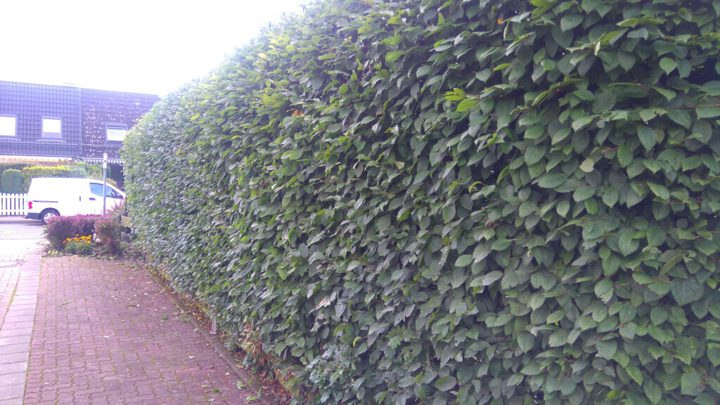 Bilder GreenFairway e.K.