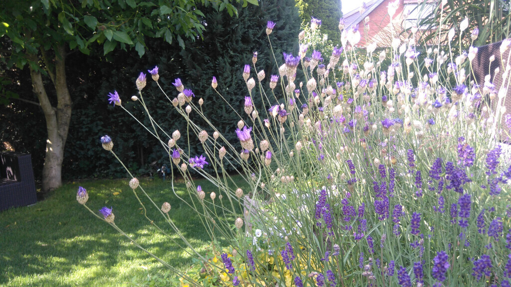 Bilder GreenFairway e.K.