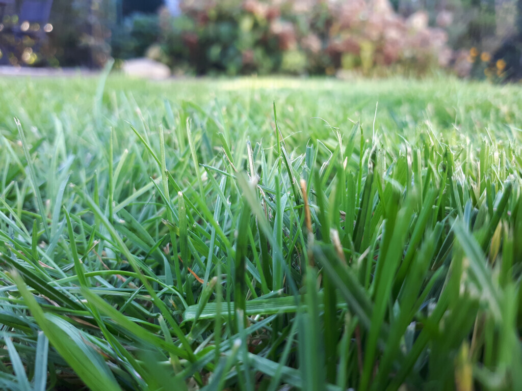 Bilder GreenFairway e.K.