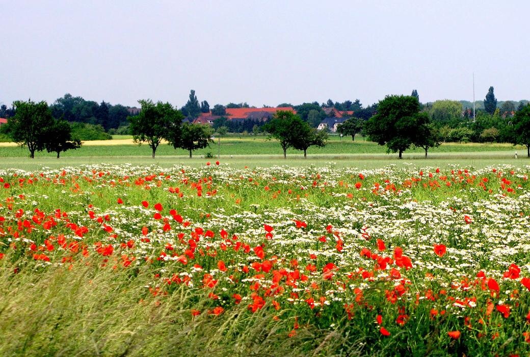 Bilder Gästehaus am Bockmerholz