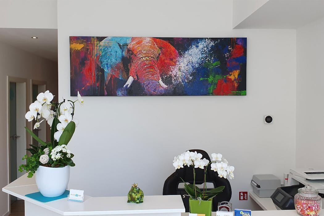 Bilder Physio 360° Harald Schmidinger