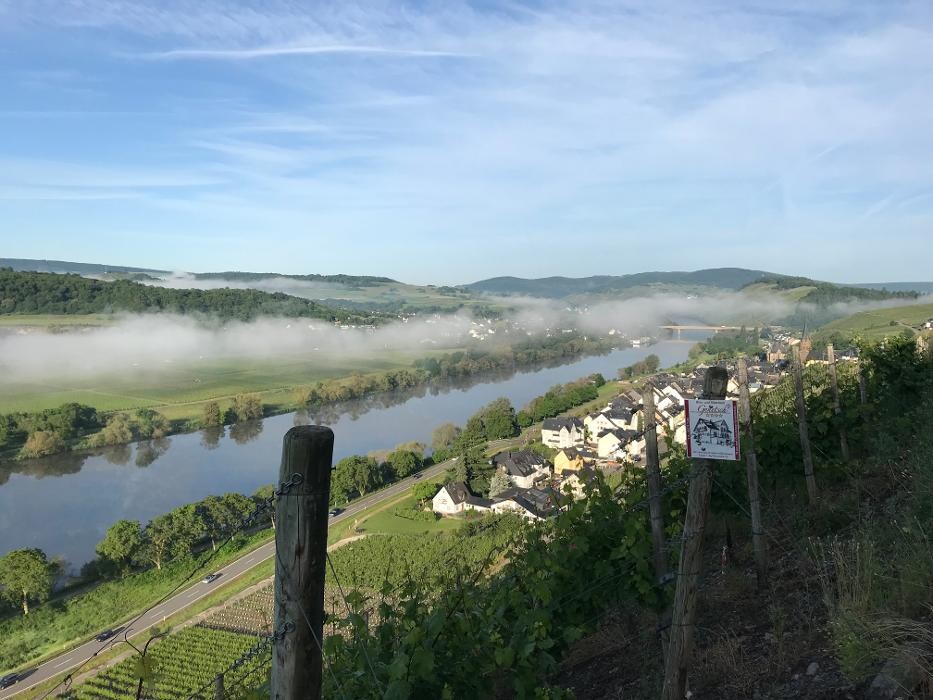 Bilder Wein- und Gästehaus Genetsch