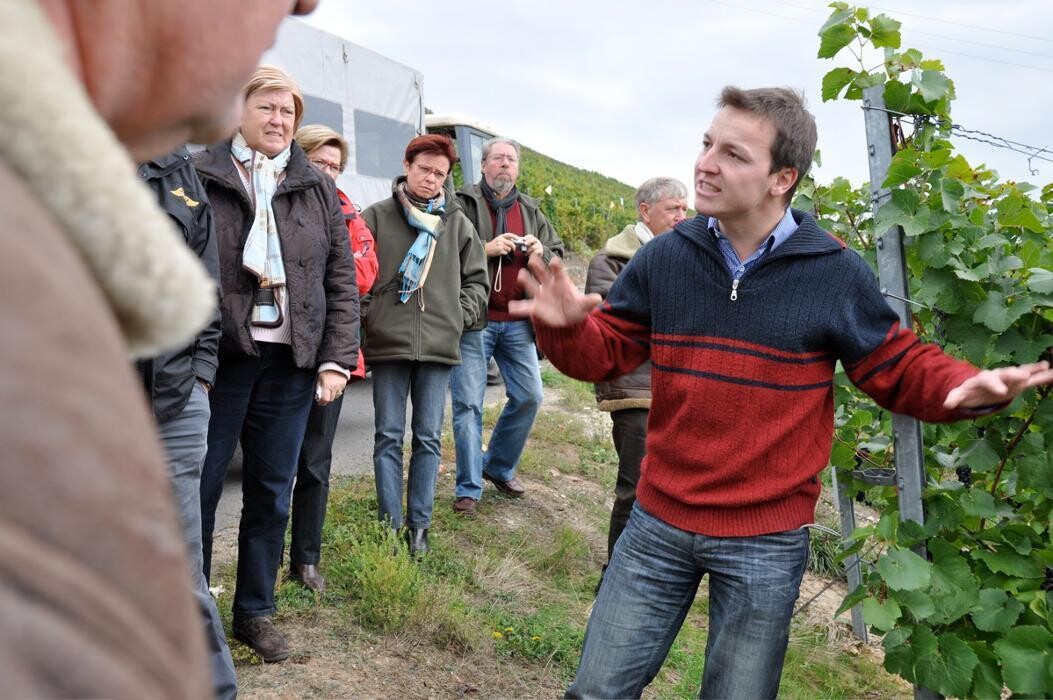 Bilder Wein- und Gästehaus Genetsch