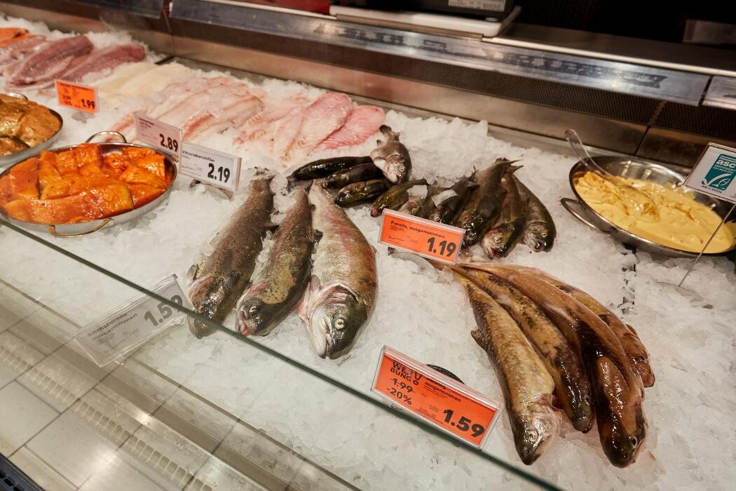 Bilder Kaufland Mainz-Bretzenheim