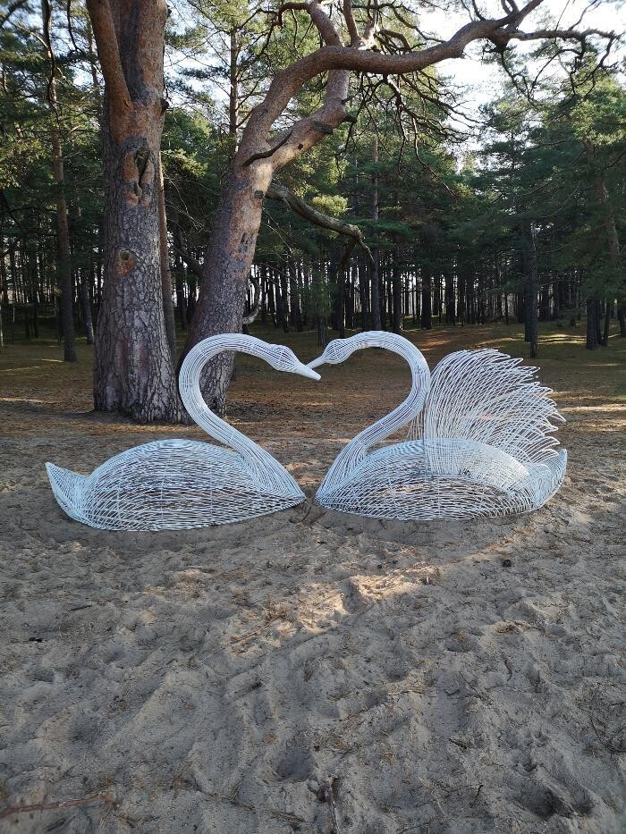 Bilder PTD Service, Betreuung 24 h e.K., Inhaber B.Peters