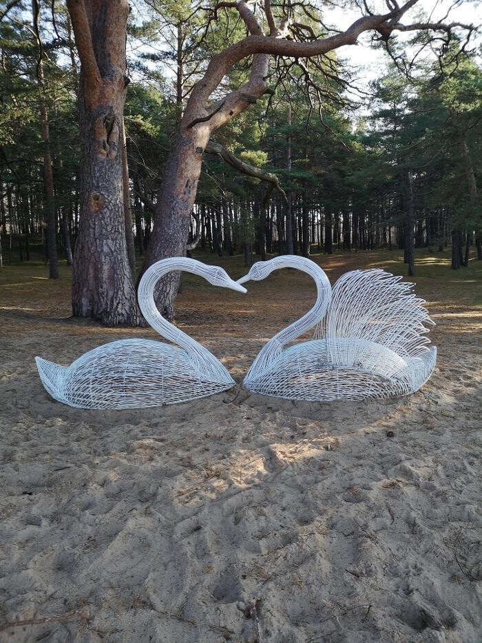 Bilder PTD Service, Betreuung 24 h e.K., Inhaber B.Peters