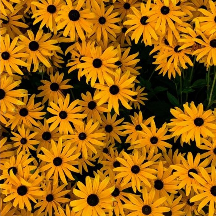 Bilder PTD Service, Betreuung 24 h e.K., Inhaber B.Peters