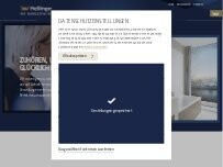 Website Screenshot MEßLINGER