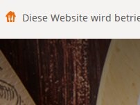 Website Screenshot ilan