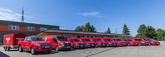 Bilder "Der Bussard" Schädlingsbekämpfung / Holz- und Bautenschutz e.G.