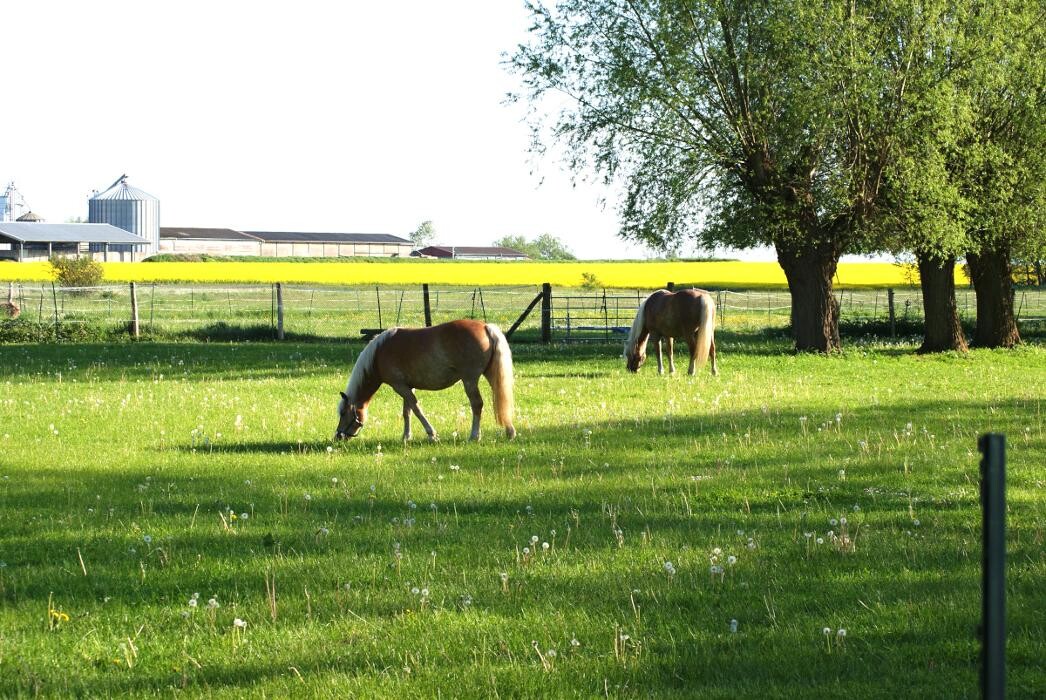 Bilder Renate Binhold, Drei-Seiten-Hof Gramtitz