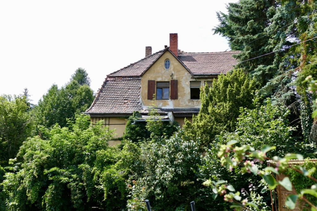 Bilder Saxowert Immobilien GmbH & Co. KG - Makler Chemnitz