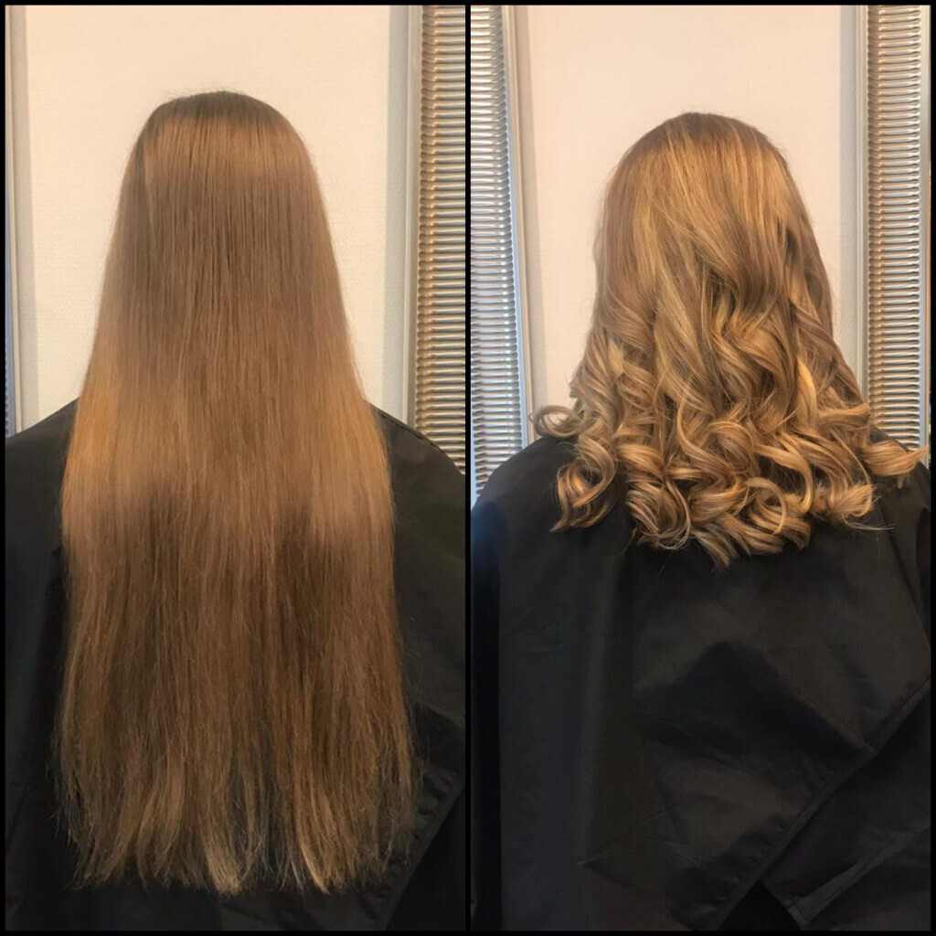 Bilder Salon Maju
