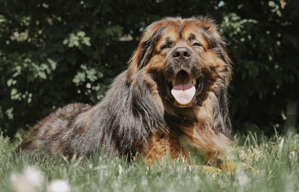 Bilder Westphals Insel Crew