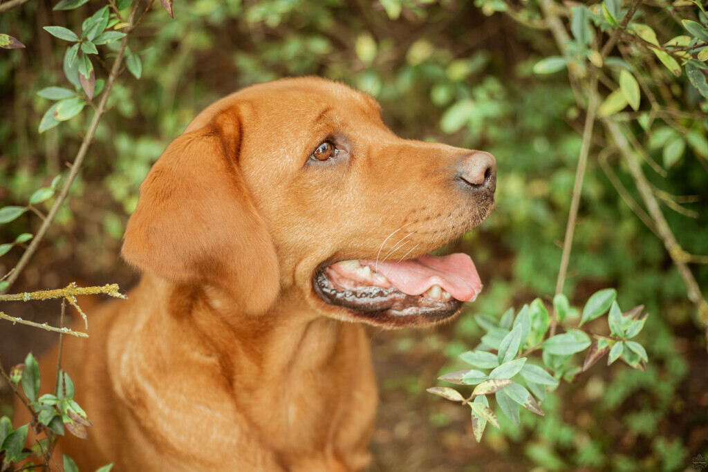 Bilder Westphals Insel Crew