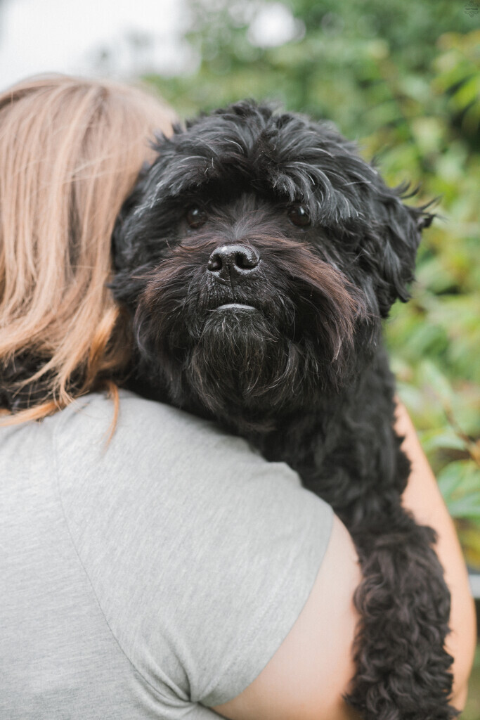 Bilder Westphals Insel Crew