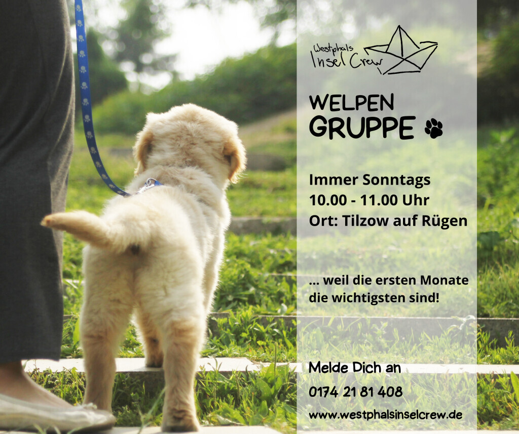 Bilder Westphals Insel Crew