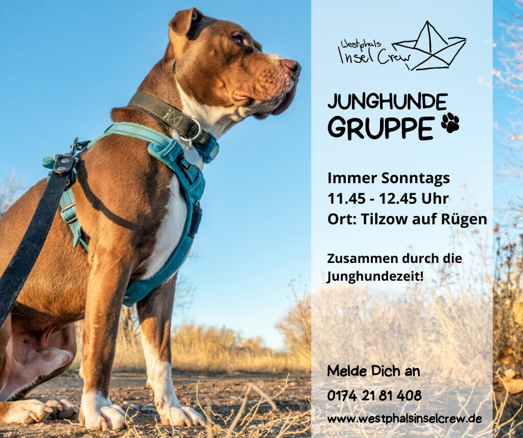 Bilder Westphals Insel Crew