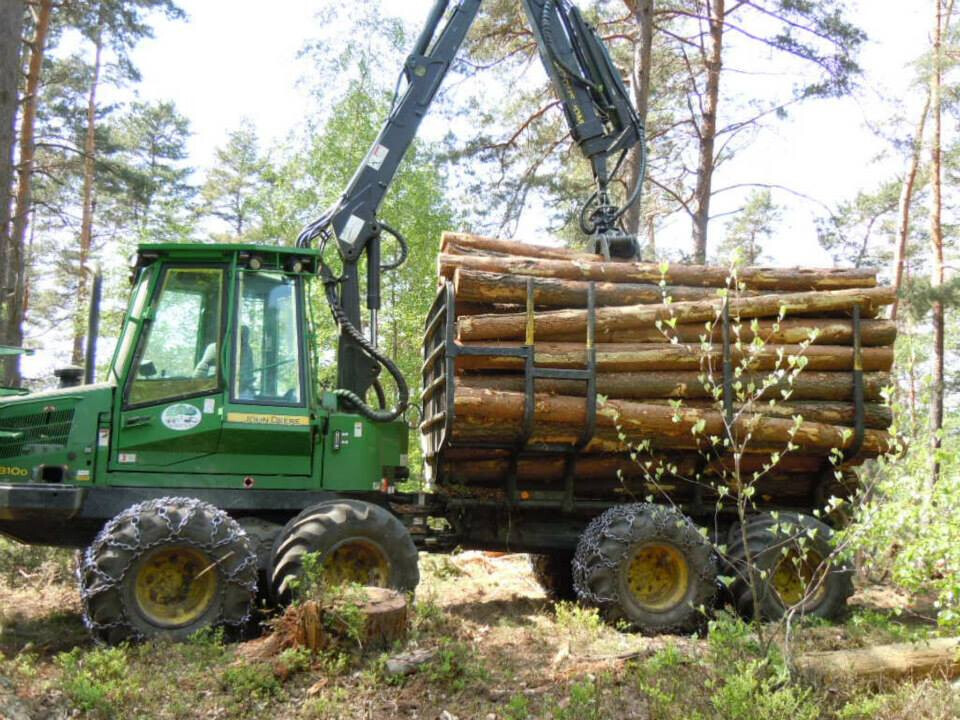 Bilder Volker Schindel