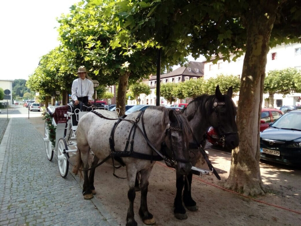 Bilder Kutsch- & Planwagenfahrten Isolde Heintz