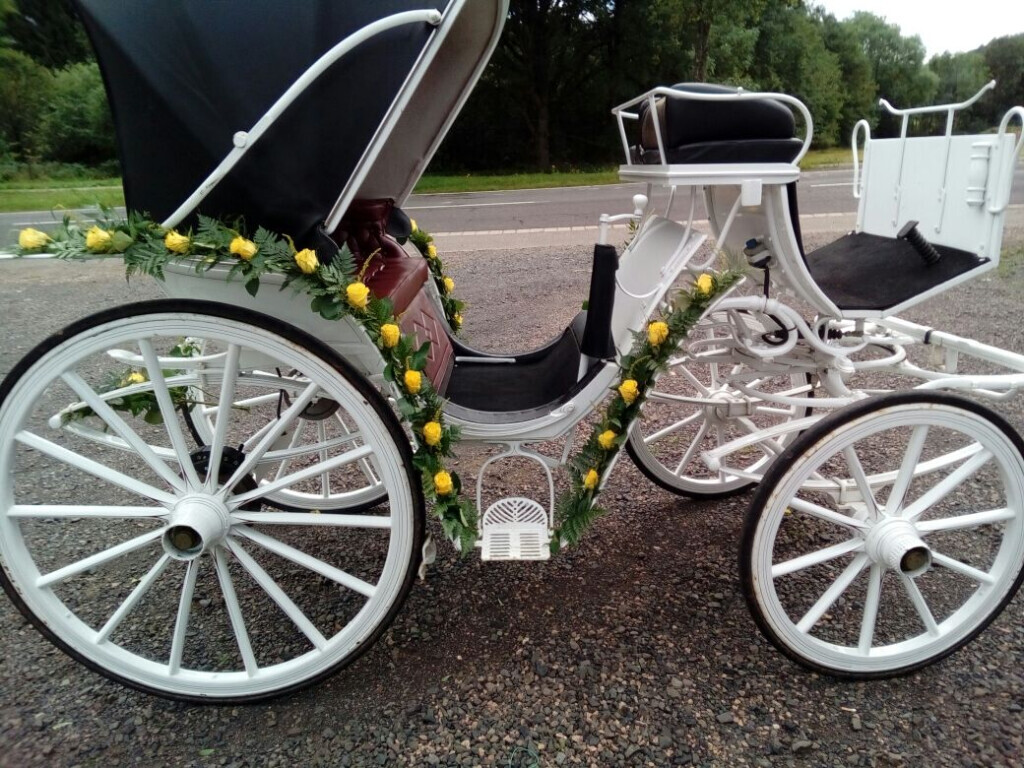 Bilder Kutsch- & Planwagenfahrten Isolde Heintz