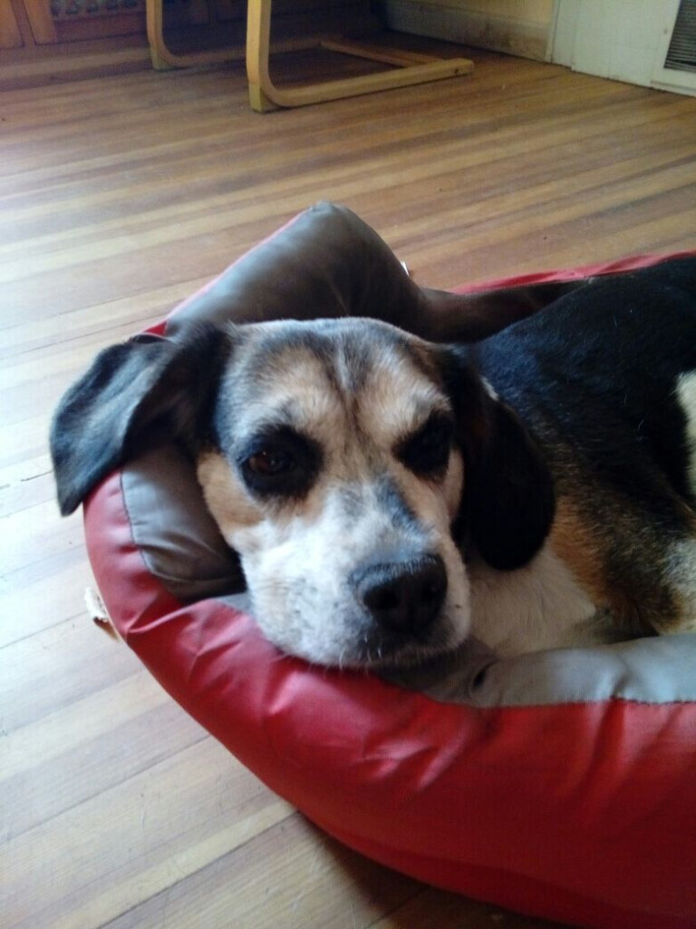 Bilder Kutsch- & Planwagenfahrten Isolde Heintz