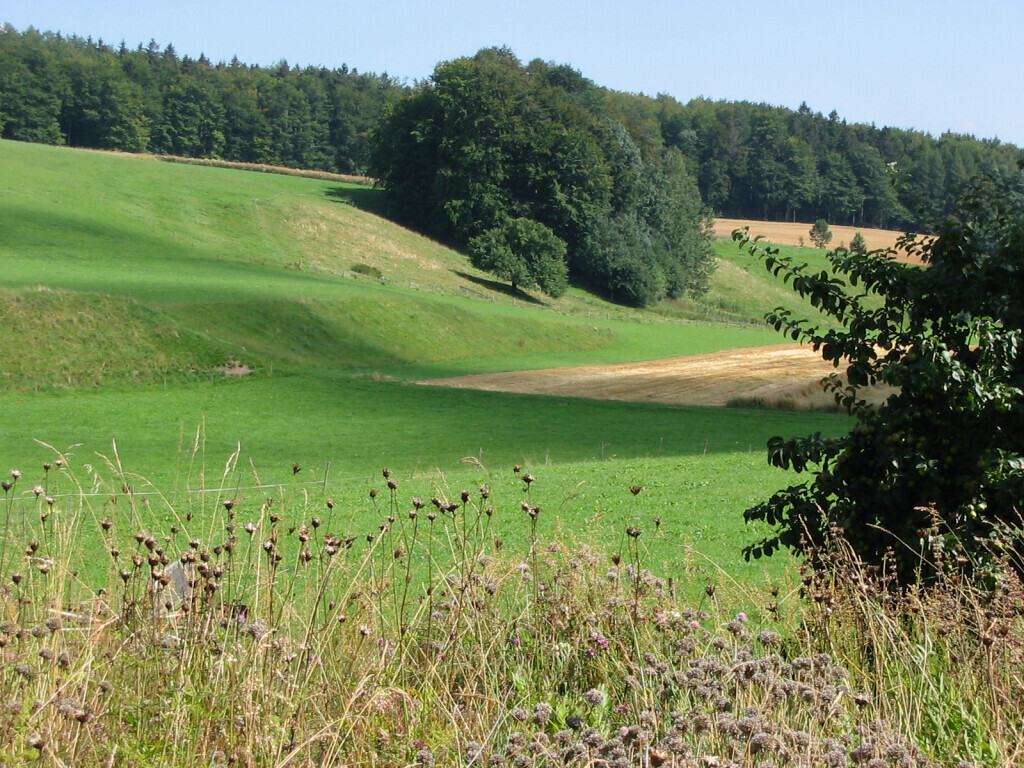 Bilder Landgasthof zur Post