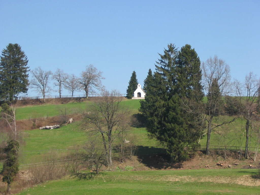 Bilder Landgasthof zur Post