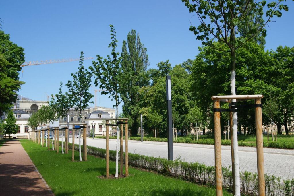 Bilder Kohout's Garten- u. Landschaftsbau GmbH