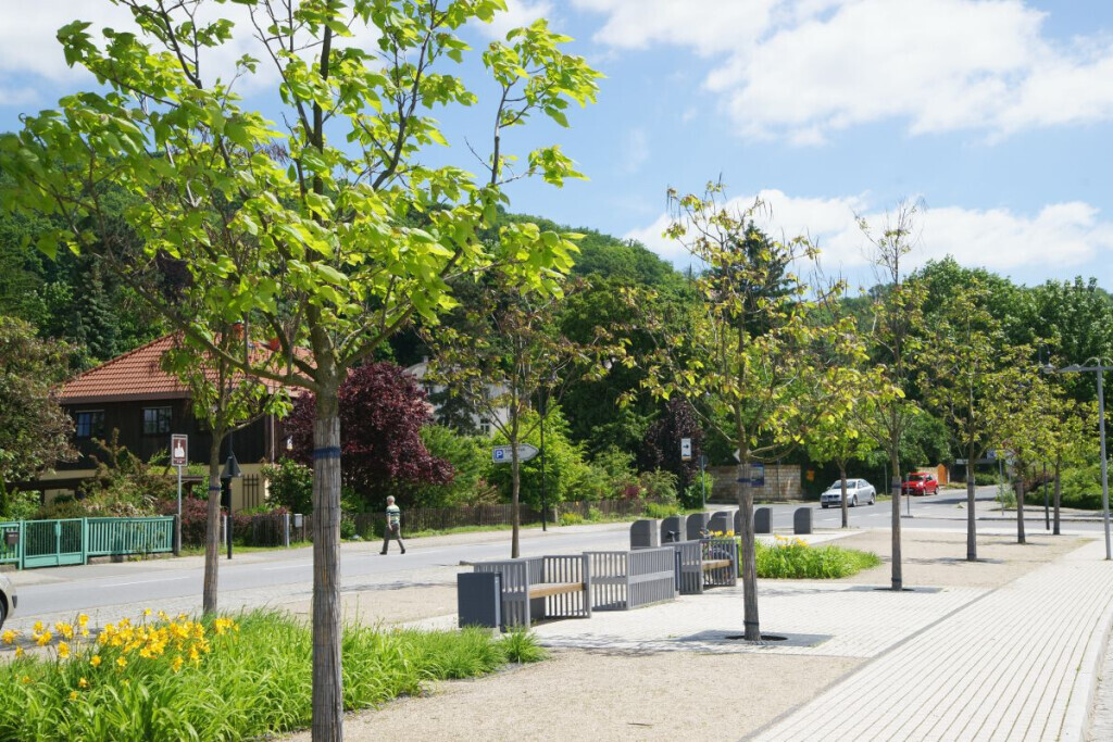 Bilder Kohout's Garten- u. Landschaftsbau GmbH