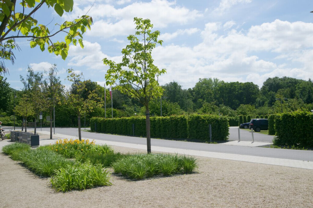 Bilder Kohout's Garten- u. Landschaftsbau GmbH