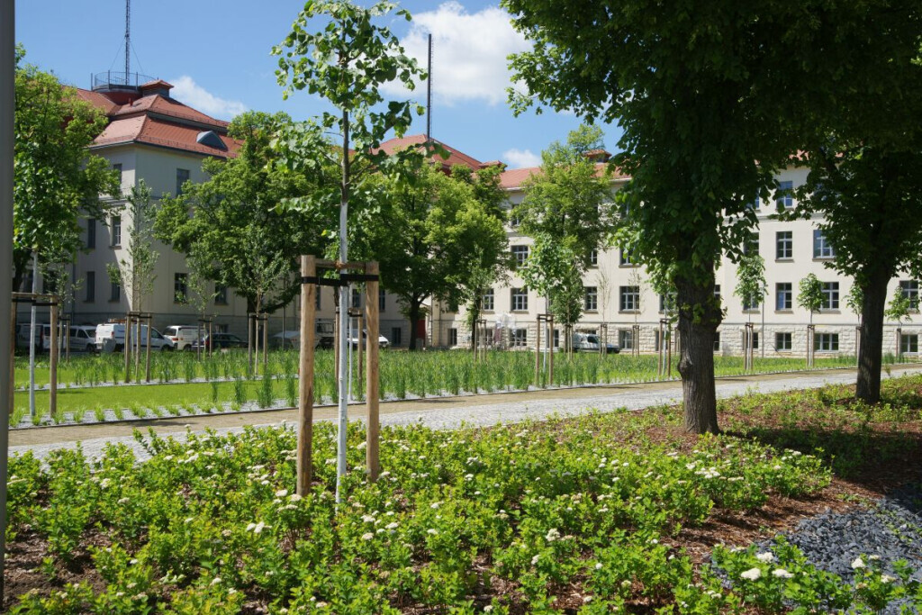Bilder Kohout's Garten- u. Landschaftsbau GmbH