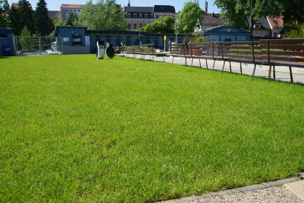 Bilder Kohout's Garten- u. Landschaftsbau GmbH